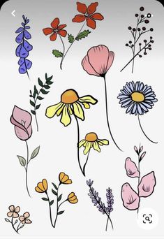 a bunch of different colored flowers on a white background