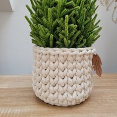 a potted plant sitting on top of a wooden table