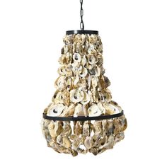 a chandelier made out of seashells hangs from a chain on a white background