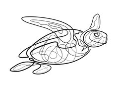 a drawing of a turtle that is drawn in black and white with lines on it