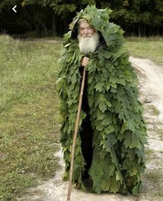 a man with a beard and long white hair is dressed as a leafy wizard