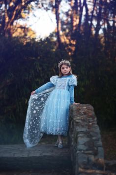 One of our most adorable Ice Queen costumes, this dress will not disappoint! The jeweled bodice has a sheer sleeve, finished off with puff shoulders adorned with laser cut flowers and sweet trim. The back is graced with a snowflake-adorned cape for the most magical look. Finished off with soft velvety sleeves, this is certainly one of our coziest dresses! This dress is a real gown and not a cheap plastic costume. We are never itchy and never use glitter! A tremendous value for such cuteness. Ful Laser Cut Flowers, Ice Queen Costume, Plastic Costume, Dog Size Chart, Cozy Dress, Queen Costume, Ice Queen, The Hundreds, Shoe Size Chart