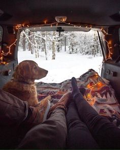 a person and their dog are sitting in the back of a truck with christmas lights