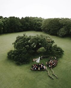 an aerial view of a wedding ceremony in the middle of a field with a large tree