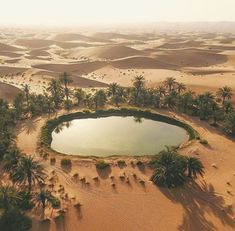 an aerial view of a lake surrounded by sand dunes and palm trees in the desert