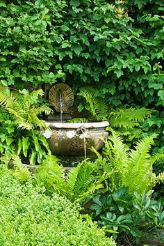 a water fountain surrounded by lush green plants