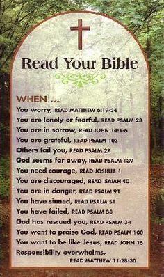 a sign with the words read your bible written on it in front of some trees