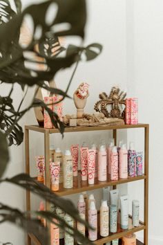 the shelves are filled with different types of body care products