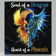 a t - shirt with the words soul of a dragon and a fire breathing dragon on it