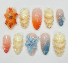 Summer Nails With Seashells, Almond Nails Seashell, Orange Seashell Nails, Beach 3d Nails, 3d Seashell Nail Art, Marine Biology Nails, H2o Just Add Water Nails, Short Ocean Nails, H20 Nails