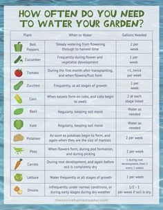 a poster explaining how often you need to water your garden in the spring or summer