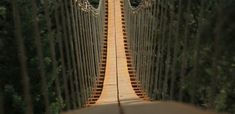 an aerial view of a suspension bridge in the woods