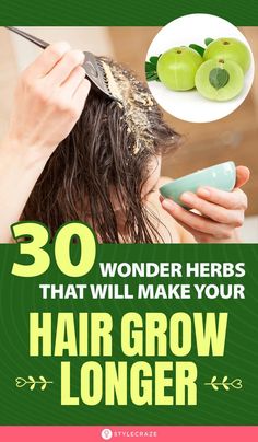 Herbs stimulate healthy hair growth and prevent hair loss. Check out our article to explore the 20 best herbs for hair growth and how to use them. Hair Herbs, Hair Growth Men, Best Vitamins For Hair Growth, Back Splash Patterns For Kitchen, Hair Care Routine Daily, 3b Curly Hair, Hair Design For Wedding, Affirmation Lockscreen