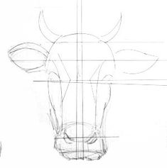 a drawing of a cow's head is shown