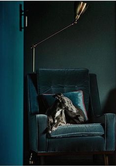 a dog sitting in a blue chair with a lamp on it's side next to the door