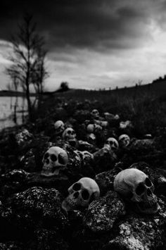 there are many skulls on the rocks by the water in this black and white photo