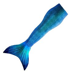 a blue and green fish tail on a white background