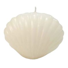 a candle that is shaped like a shell