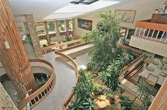 an aerial view of the inside of a building with trees and plants on display in it