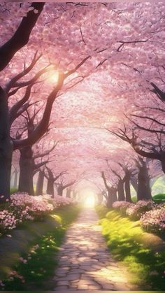 the sun shines through the trees in this beautiful park with pink flowers on it