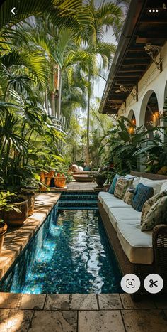 the pool is surrounded by tropical plants and greenery, as well as a couch