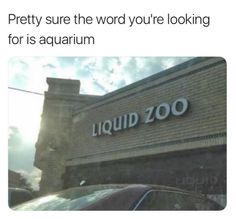 a store front with the words pretty sure the word you're looking for is aquarium