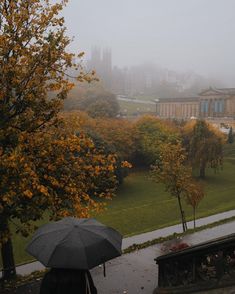 a person with an umbrella is standing on a rainy day in the park near some buildings