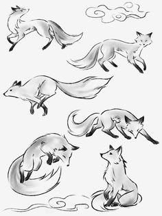 four different drawings of foxes flying in the sky