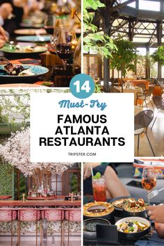 A collage promotin 14 must-try famous restaurants in Atlanta. Top left image: a line of vibrant plates and wine glasses. Top right image: an indoor restaurant with floor-to-ceiling windows and modern tables and chairs. Bottom left: a modern bar with neon pink bar stools and cherry blossom tree in the middle. Bottom right: Small bowls of food and drinks. Midtown Atlanta Restaurants, Atlanta Restaurants Downtown, Buckhead Atlanta Restaurants, Places In Atlanta