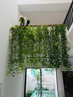 a man standing on top of a balcony next to a plant hanging from the ceiling