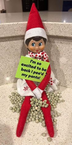 an elf is sitting on the counter holding a sign that says i'm so excited to be back i heard my point