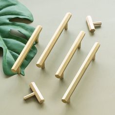 brass handles and pulls on a grey surface next to a large green leaf, which is also part of a houseplant