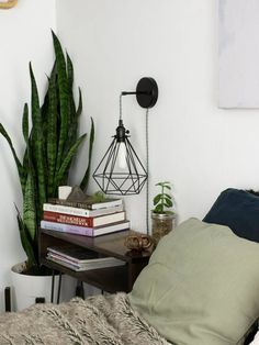 a bedroom with a bed, plant and books on the shelf next to the bed