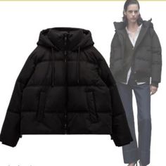 High Collar Jacket With Hood. Long Sleeves With Cuffs. Front Welt Pockets. Front Zip Closure. Black Black Hooded Puffer Jacket For Winter, Black Hooded Jacket For Winter, Black Hooded Puffer Jacket For Fall, Hooded Black Puffer Jacket For Fall, Fall Puffer Hooded Jacket For Winter, Fall Puffer Hooded Jacket For Cold Weather, Black Puffer Jacket With Detachable Hood For Winter, Black Winter Puffer Jacket With Detachable Hood, Fall Hooded Outerwear With Ribbed Cuffs