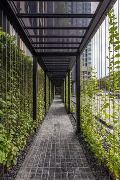 the walkway is lined with green plants and metal bars on both sides, leading to an office building