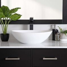 a white bowl sink sitting on top of a bathroom counter next to a green plant