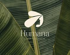 a close up of a banana plant with the words'humana'on it