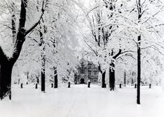 an old house surrounded by snow covered trees