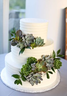 a three tiered white cake with succulents on top