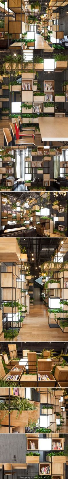 many shelves with plants growing inside of them