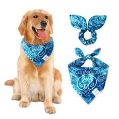 PRICES MAY VARY. Large Dog Bandanas Boy Size:19.2''*19.2'' (49cm *49cm). The adjustable bandanas for dogs fit pet neck size up to 21.2'' (54cm). You can roll the square summer dog bandana a couple of times to fit your dog & cat. Please measure your pet's neck before buying. Tie dye hair scrunchie is one size fits all. Summer Dog Bandanas- Handmade dog Kerchief is easy to clean, machine by hand in cold water and lay flat to dry. Blue dog scarf is suitable for medium large breed dogs boy: Labrador, Golden Retriever, pit bull, Corgi, shepherd dog, etc. Matching Dog and Owner Clothes- It’s so cool and lovely, dog mom and dogs are wearing the matching costume together. When traveling, daily walking, or taking photos, cute dog bandanas with scrunchie is both fashion and personalized dog matching Dog Tie On Bandana Pattern, Free Dog Bandana Pattern Tie On, Dog Bandana Pattern Tie On, Dog Bandana Pattern Snap On, Matching Costume, Dog Match, Daily Walking, Tie Dye Hair, Boho Dog