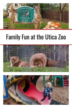 two pictures with the words family fun at the utica zoo in front of them