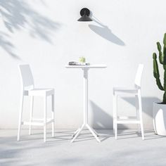 two white chairs and a table in front of a cactus