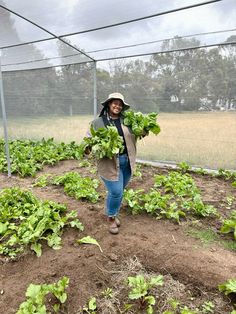 a woman is walking through a garden holding lettuce