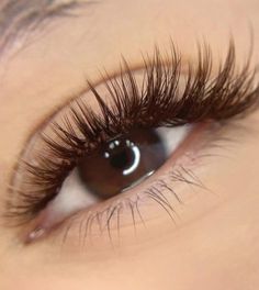 Brown Fake Lashes, Brown Eyelash Extensions Lashes, Brown Eye Lashes Extensions, Eyelash Extensions Brown Eyes, Brown Eyelash Extensions Natural, Black And Brown Lash Extensions, Natural Brown Lash Extensions, Brown Eyelashes Extensions, Lashes 2:1