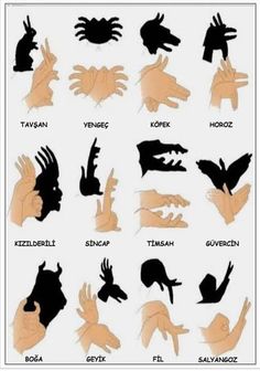 the silhouettes of different hands are shown in black and white, with words above them