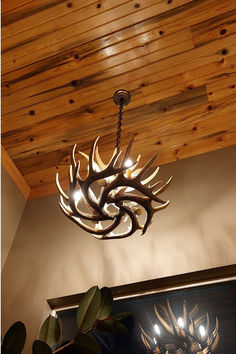 Reproduction antler chandeliers are lightweight, easy to hang, and provide that authentic look of real antlers. Each antler is made out of medium-density polyethylene material, and are handmade in the USA by a small family owned company. White Antler Chandelier, Deer Antler Light Fixture, Deer Whitetail, Deer Chandelier Antlers, Crystal Antler Chandelier, Small Antler Chandelier, Antler Lights, Gothic Dollhouse, Antler Chandelier