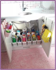 a kitchen sink filled with lots of cleaning supplies