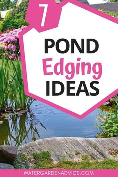 pond edging ideas with text overlay that reads, 7 pond edging ideas