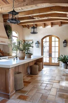 a kitchen with an island and potted plants on the counter top in front of it